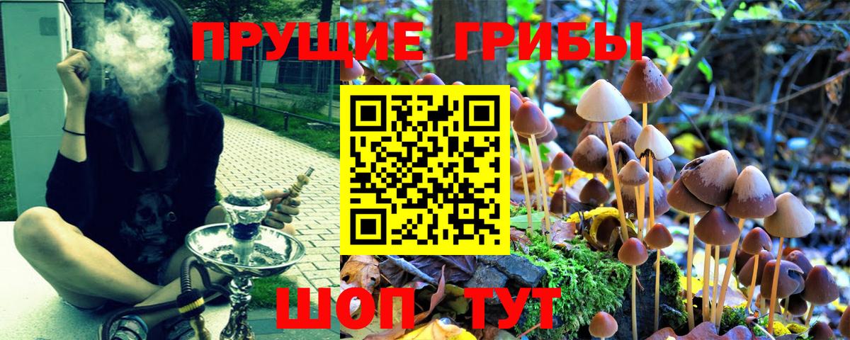 Псилоцибиновые грибы Magic Shrooms Касимов