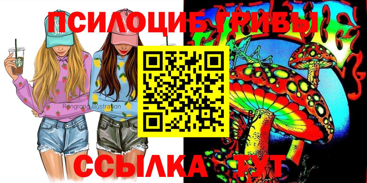 Псилоцибиновые грибы Psilocybine cubensis  купить наркоту  Касимов  Вход с VPN 