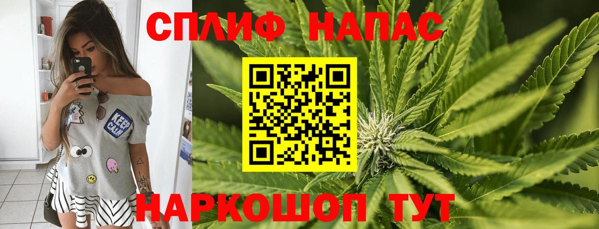 Каннабис конопля Касимов